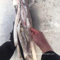 Giant squid wing Peru 350-700g